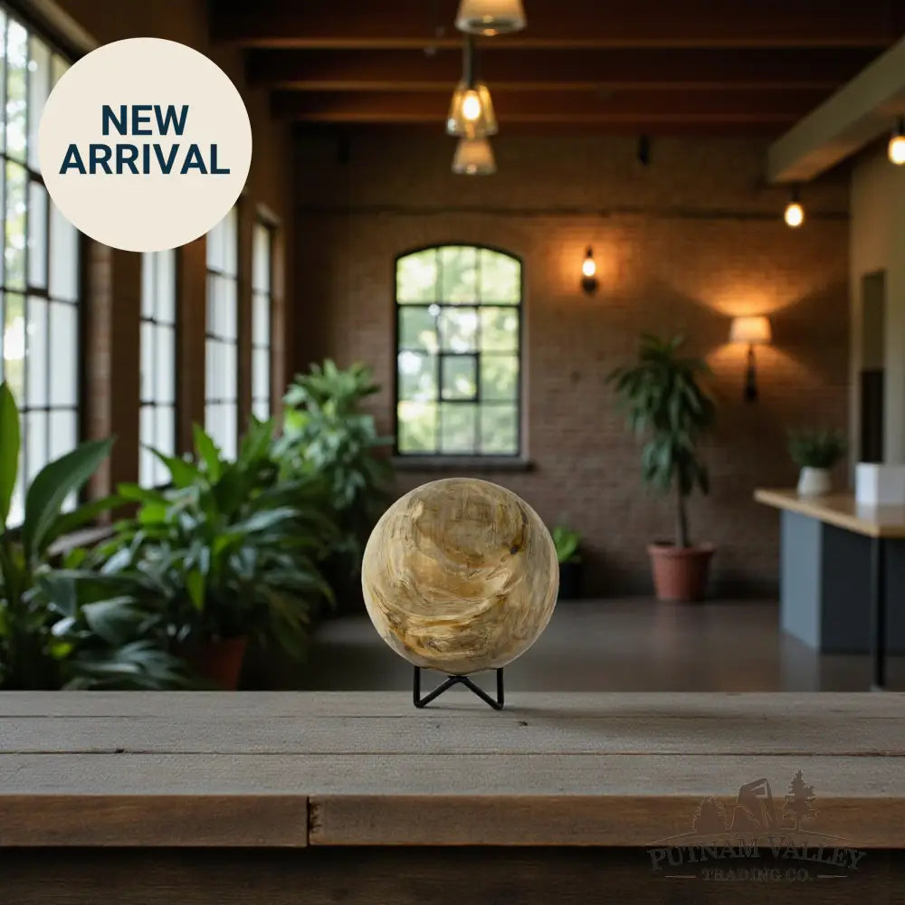 Reserve Petrified Wood Sphere 4.49’’ Sphere