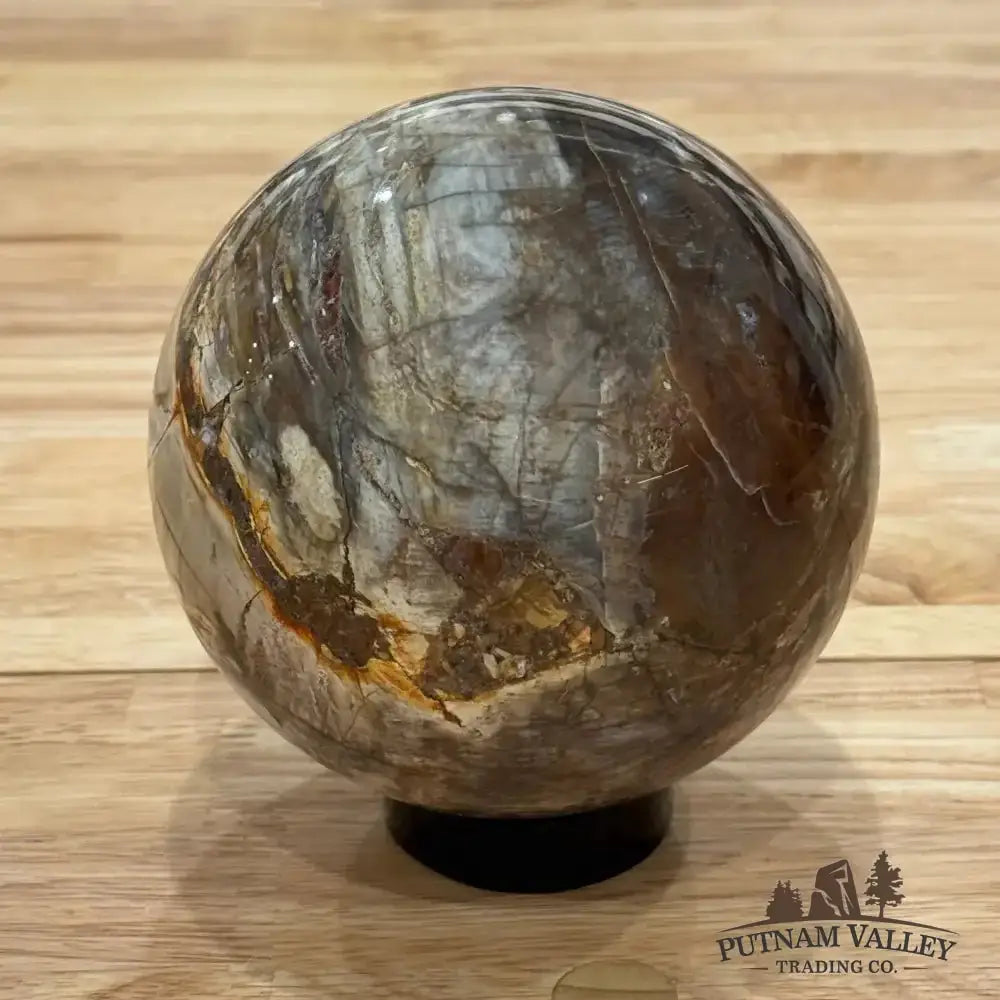 Reserve Petrified Wood Sphere 4.52" - Putnam Valley Trading Co.