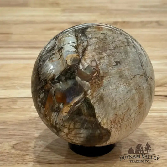 Reserve Petrified Wood Sphere 4.62" - Putnam Valley Trading Co.