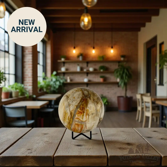 Reserve Petrified Wood Sphere 4.65’’ Sphere