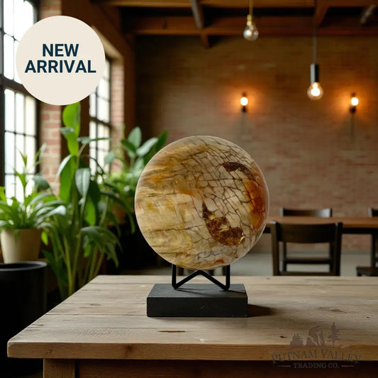 Reserve Petrified Wood Sphere 4.69’’ Sphere