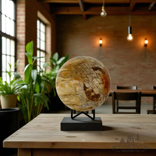 Reserve Petrified Wood Sphere 4.69’’ Sphere