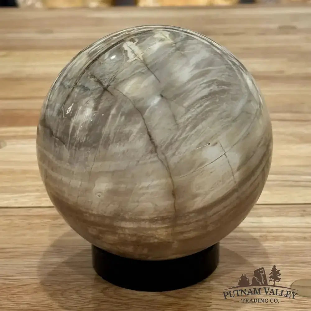 Reserve Petrified Wood Sphere 5.03" - Putnam Valley Trading Co.