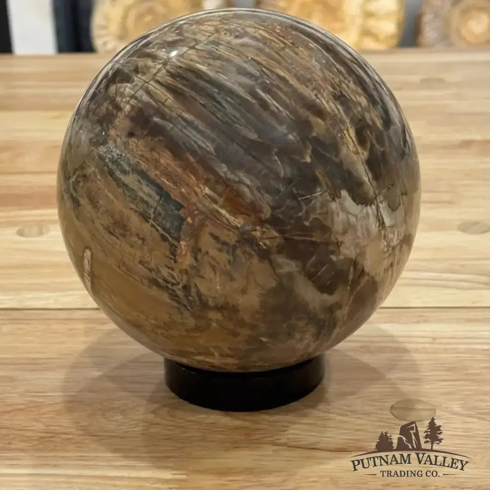 Reserve Petrified Wood Sphere 6.09" - Putnam Valley Trading Co.