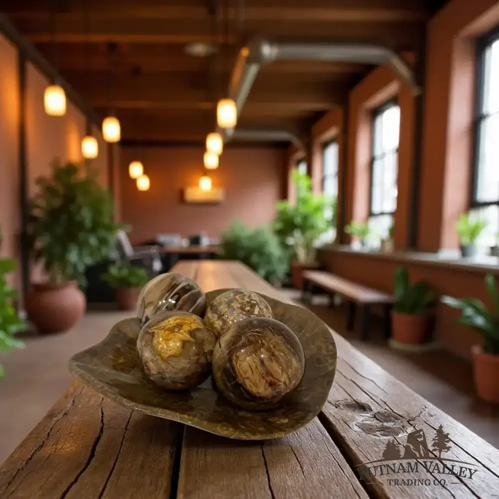 Reserve Petrified Wood Spheres - Putnam Valley Trading Co.
