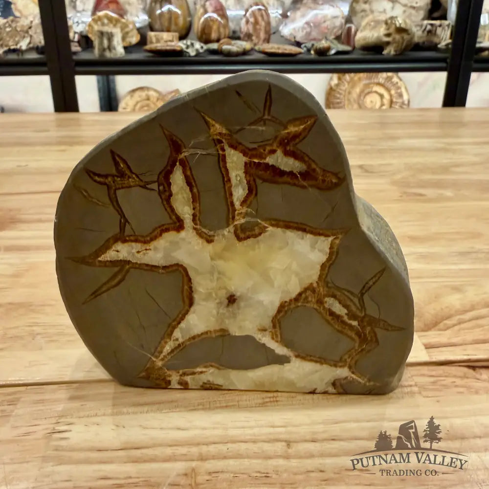 Reserve Utah Septarian Table Accent Accent