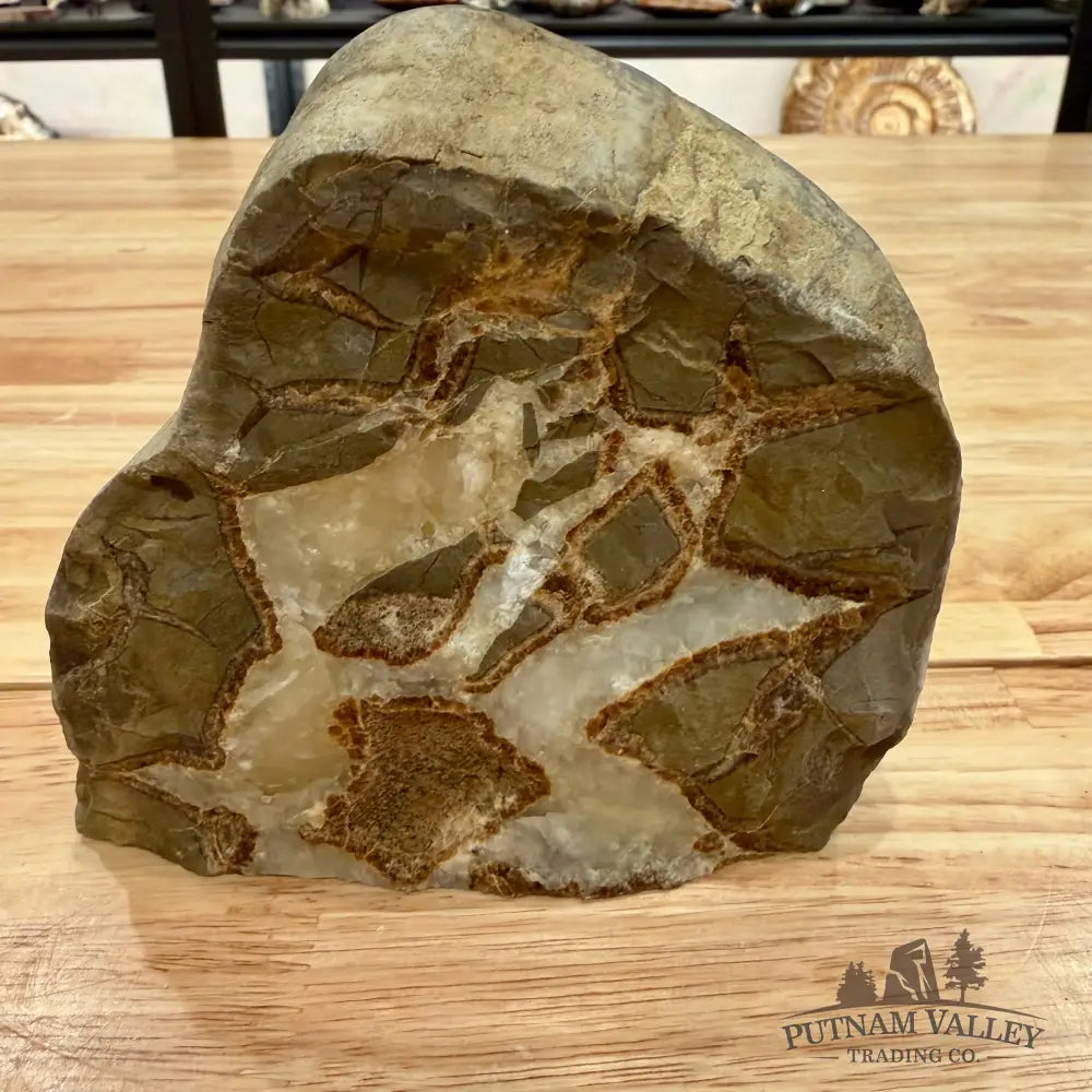 Reserve Utah Septarian Table Accent Accent