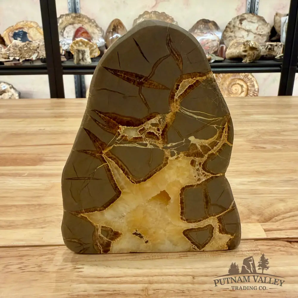 Reserve Utah Septarian Table Accent Accent