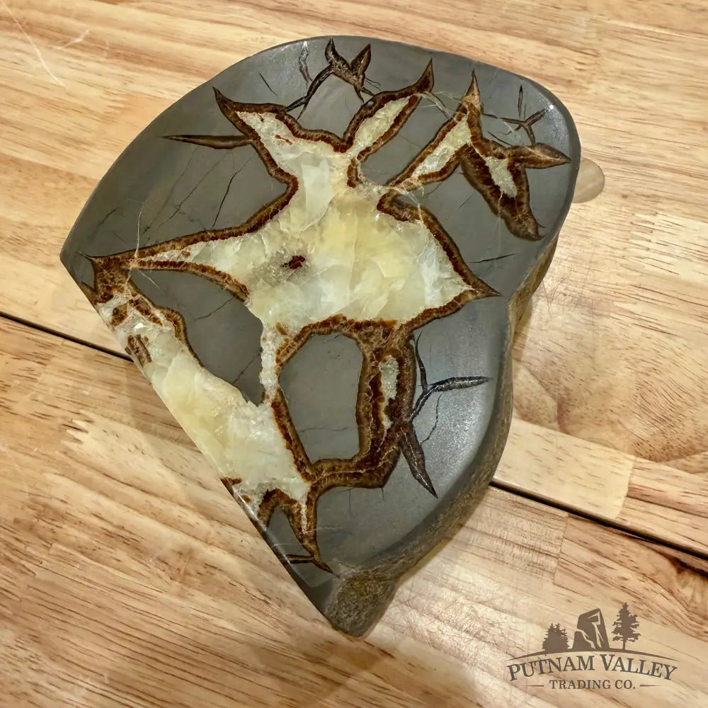 Reserve Utah Septarian Table Accent Accent