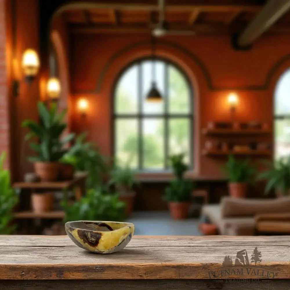 Septarian Heart Dish Bowl