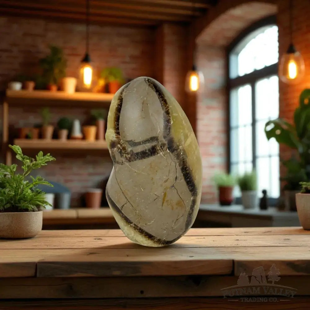 Septarian Table Accent Accent