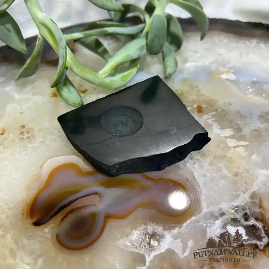 Shungite Sphere Stands - Putnam Valley Trading Co.