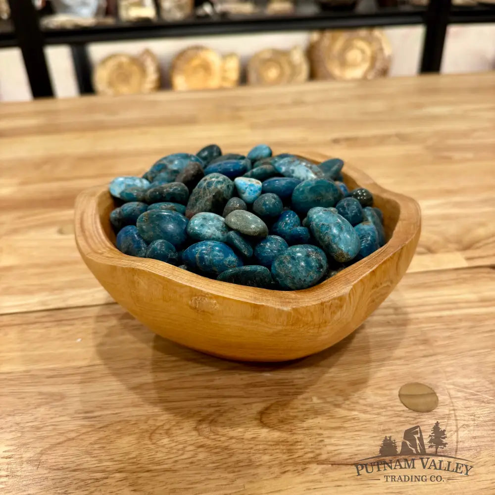 Tumbled Blue Apatite (½ lb) Tumbled Stone