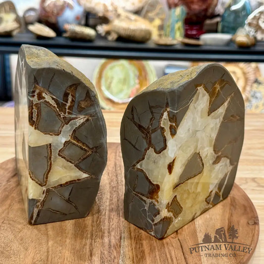 Utah Septarian Bookend Pair - Accent