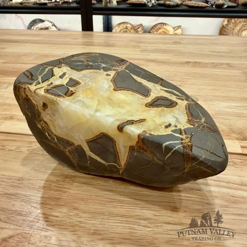 Utah Septarian Table Accent Accent