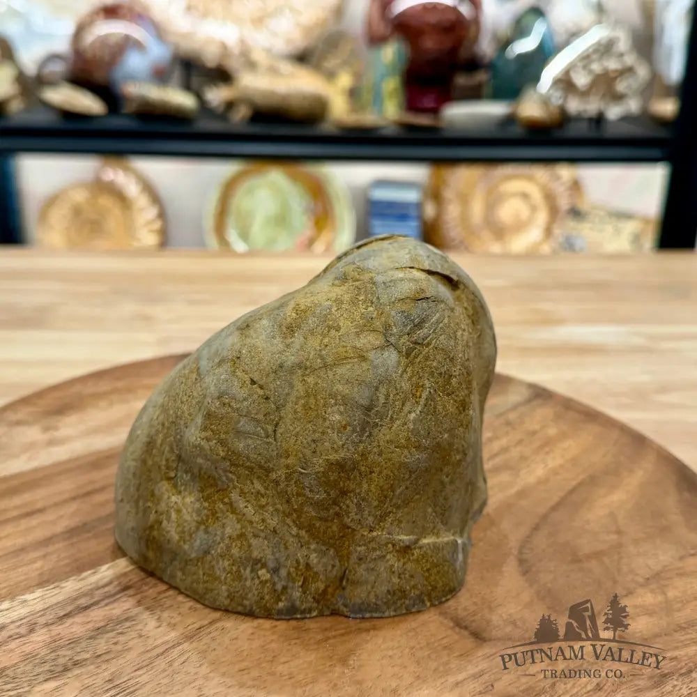 Utah Septarian Table Accent 4.92’’ - Accent