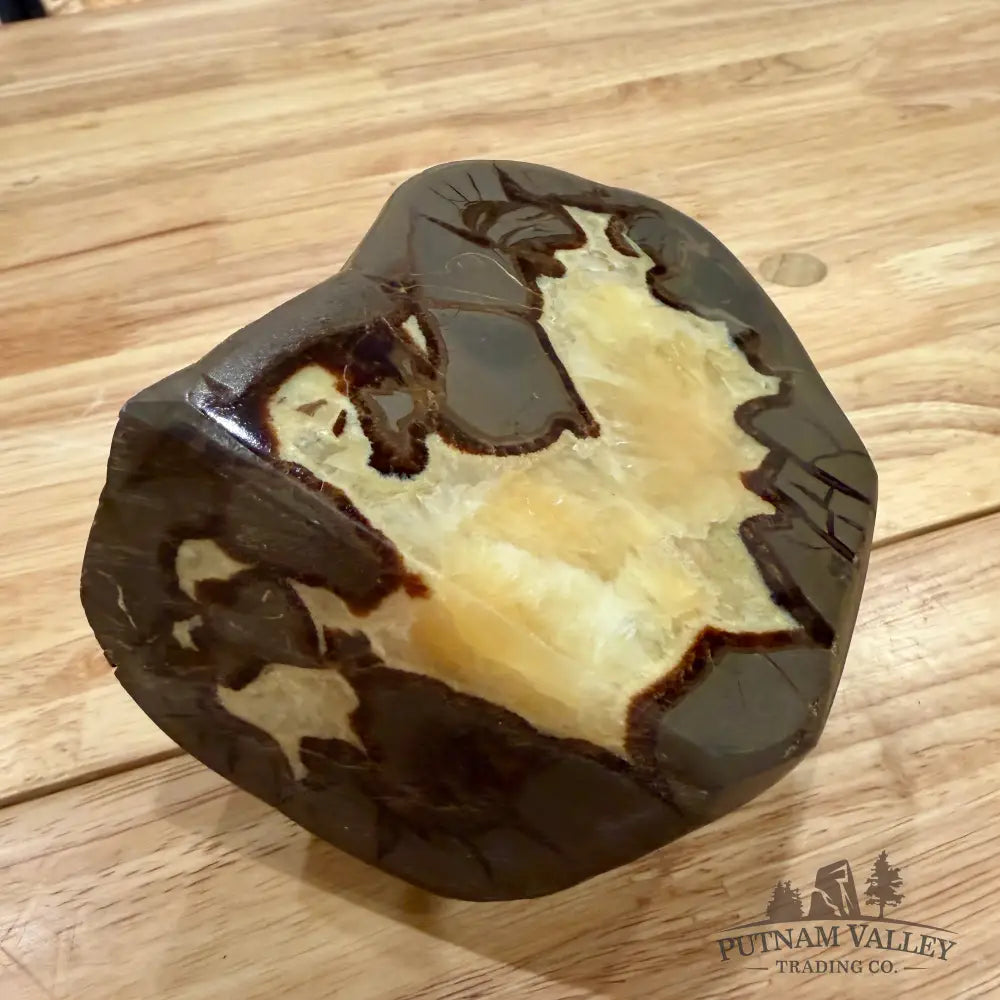 Utah Septarian Table Accent Accent