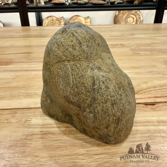 Utah Septarian Table Accent Accent