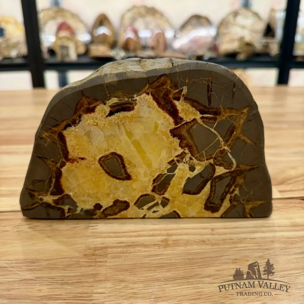 Utah Septarian Table Accent Accent