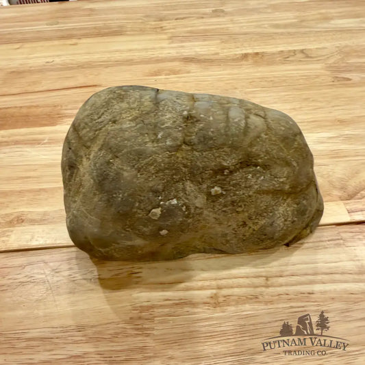 Utah Septarian Table Accent Accent