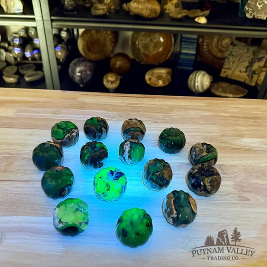 Volcano Agate Carved Pumpkins, UV Reactive Glow - Carved Object