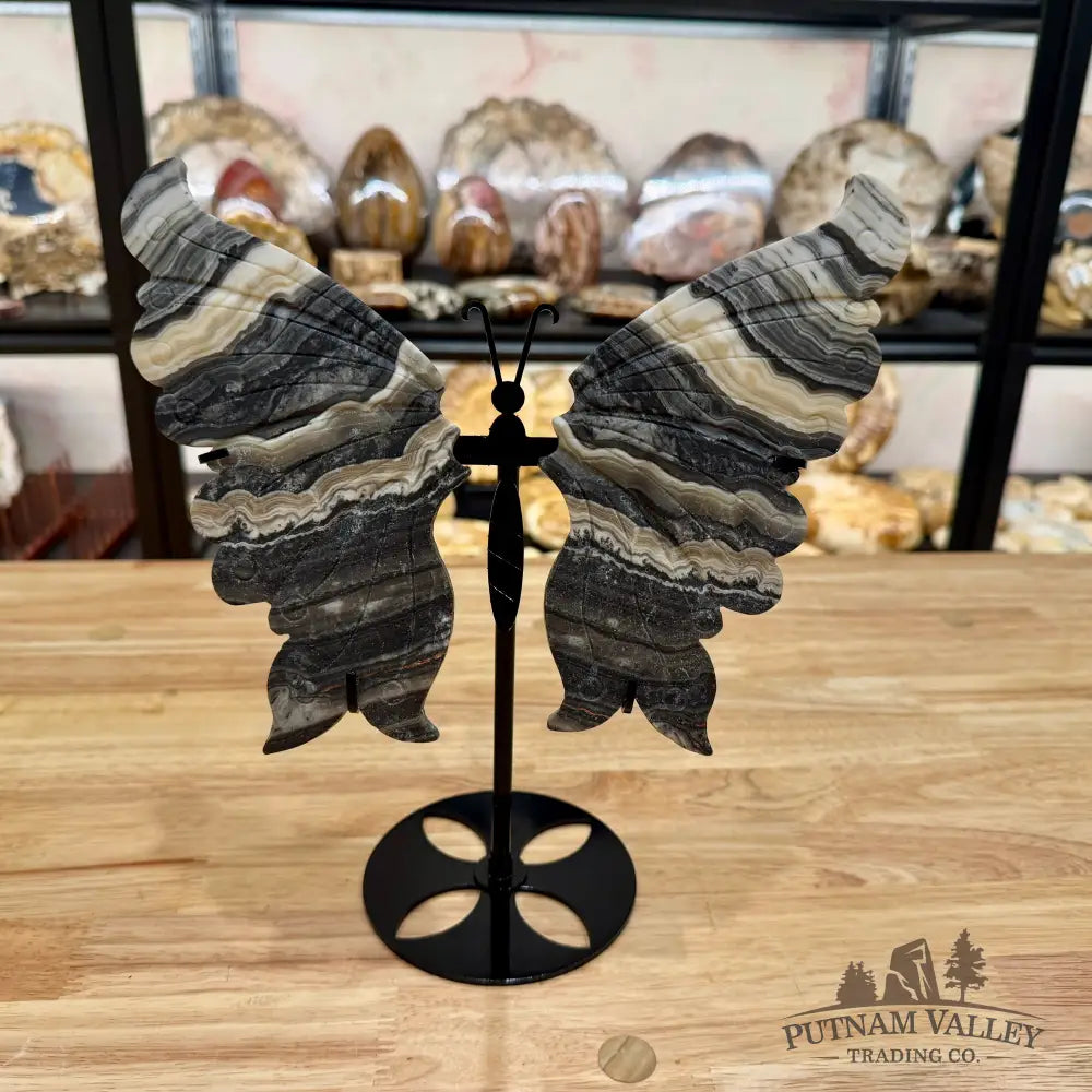 Zebra Calcite Butterfly - 10’’ Wingspan Sculpture