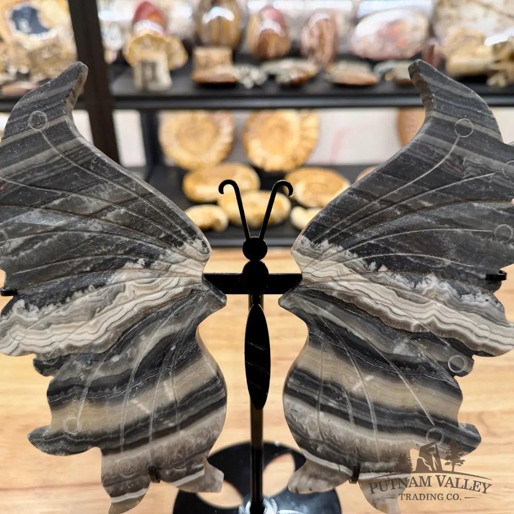 Zebra Calcite Butterfly - 10’’ Wingspan Sculpture