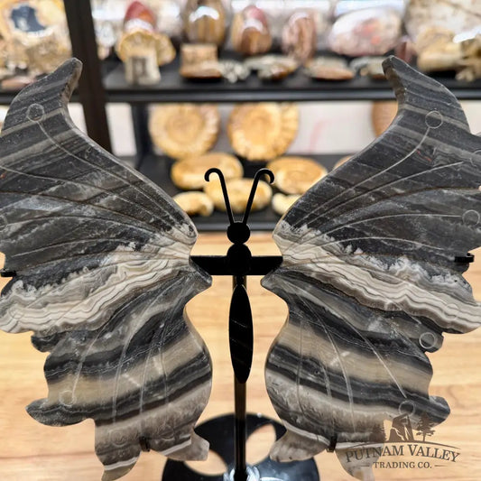 Zebra Calcite Butterfly - 10’’ Wingspan Sculpture