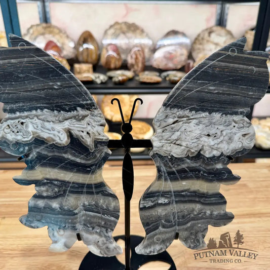 Zebra Calcite Butterfly - 11.75’’ Wingspan Sculpture