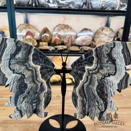 Zebra Calcite Butterfly - 14.75’’ Wingspan Sculpture