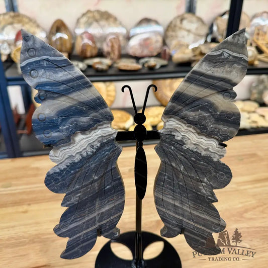 Zebra Calcite Butterfly - 8.25’’ Sculpture