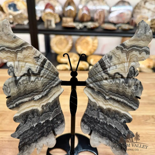 Zebra Calcite Butterfly - 8’’ Wingspan Sculpture