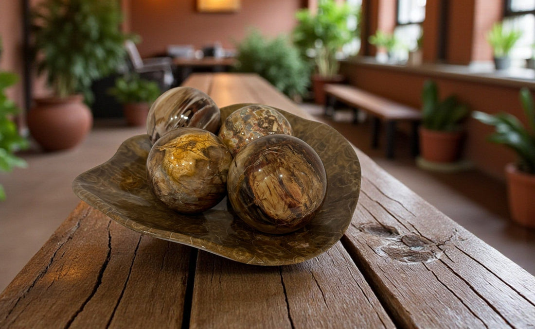 The Complete Guide to Petrified Wood: Madagascar, Pacific Northwest & Beyond