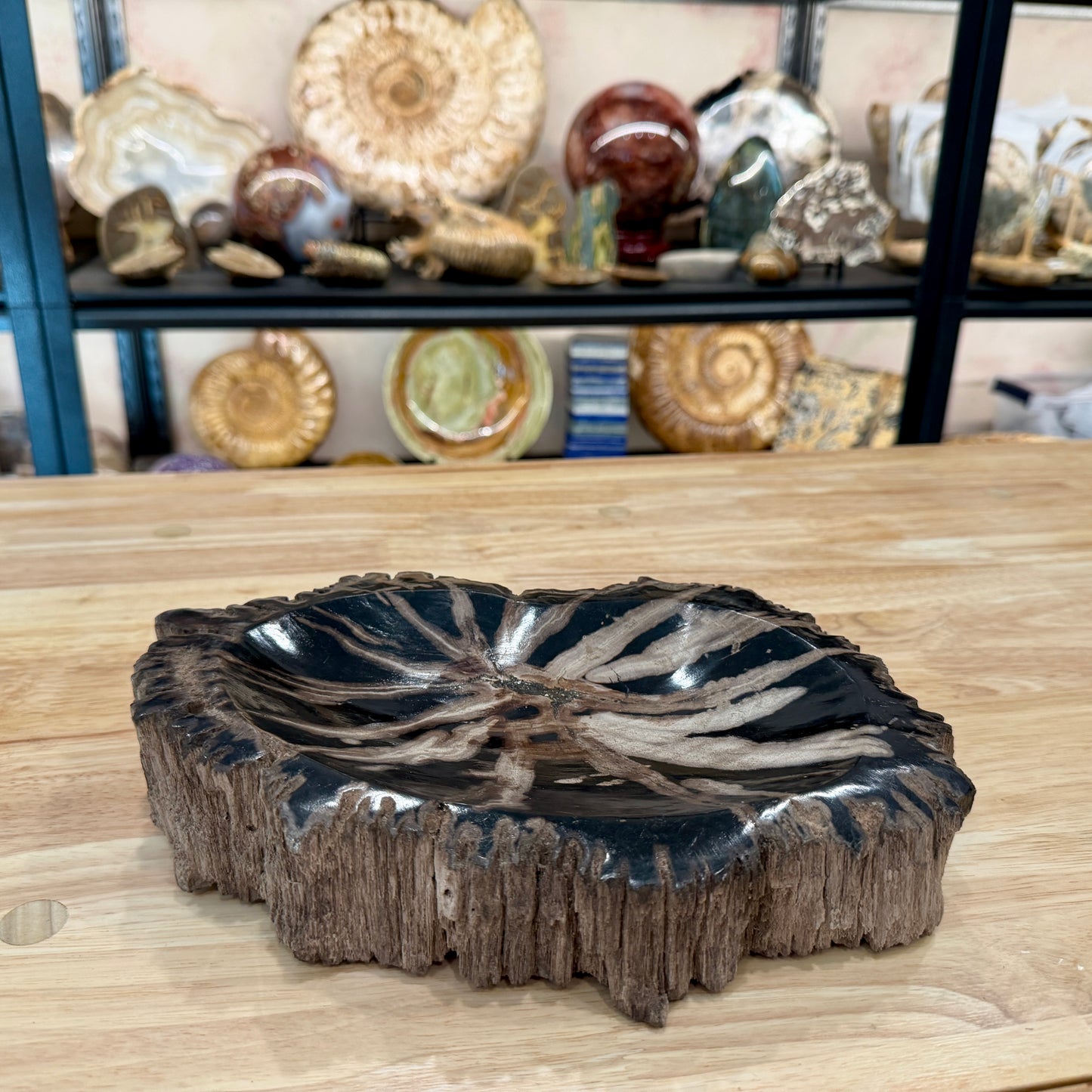 Reserve Indonesian Petrified Wood Rustic Bowl