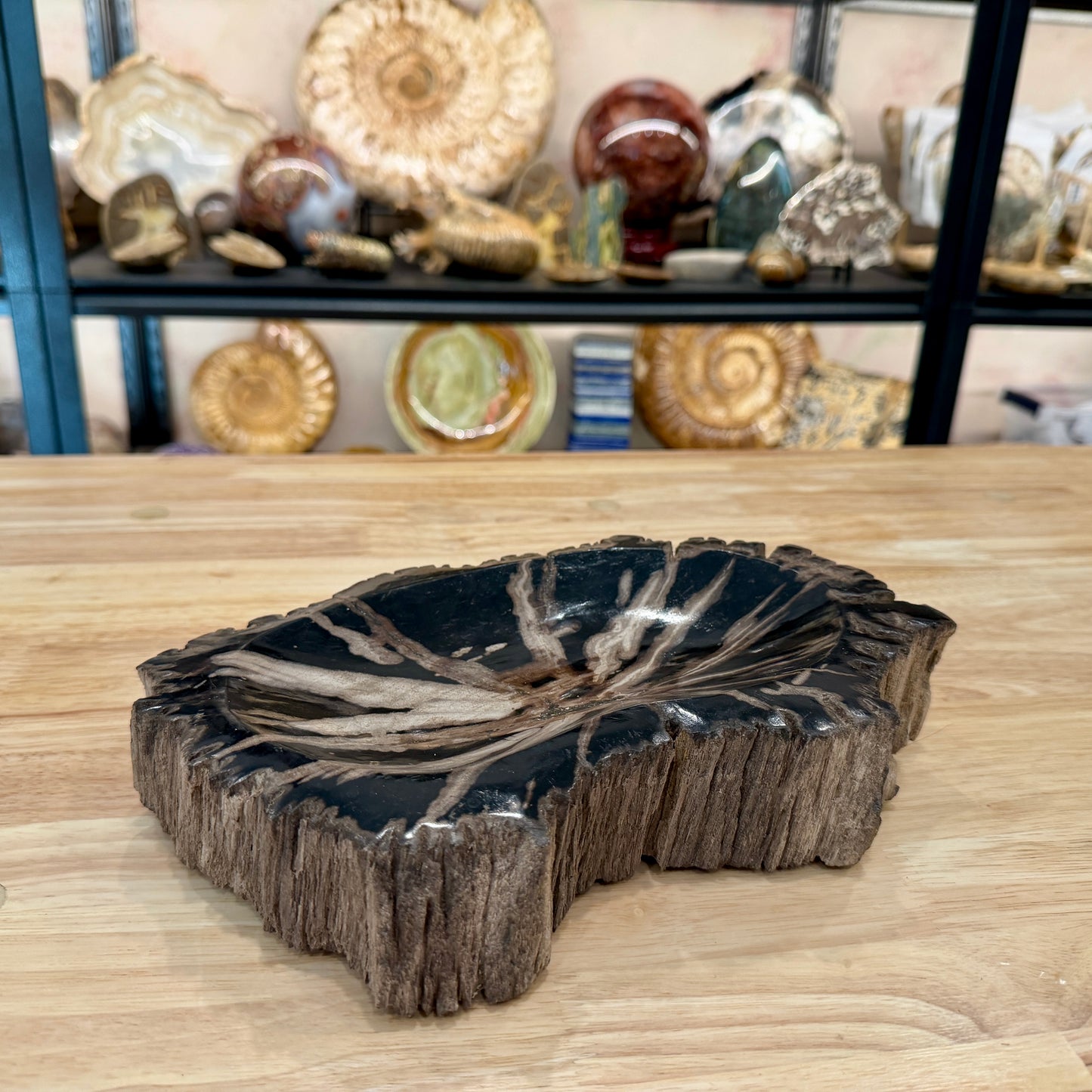 Reserve Indonesian Petrified Wood Rustic Bowl