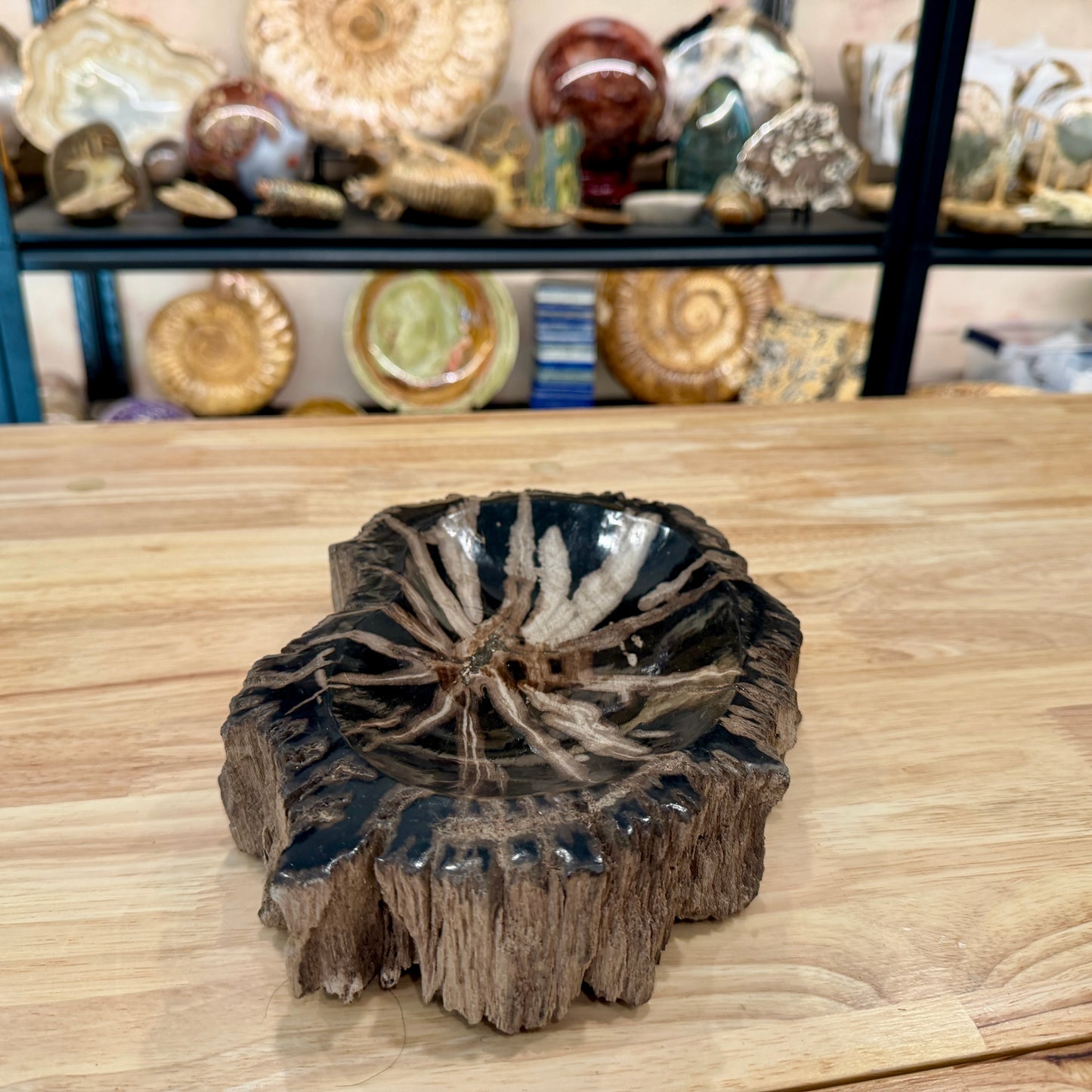 Reserve Indonesian Petrified Wood Rustic Bowl