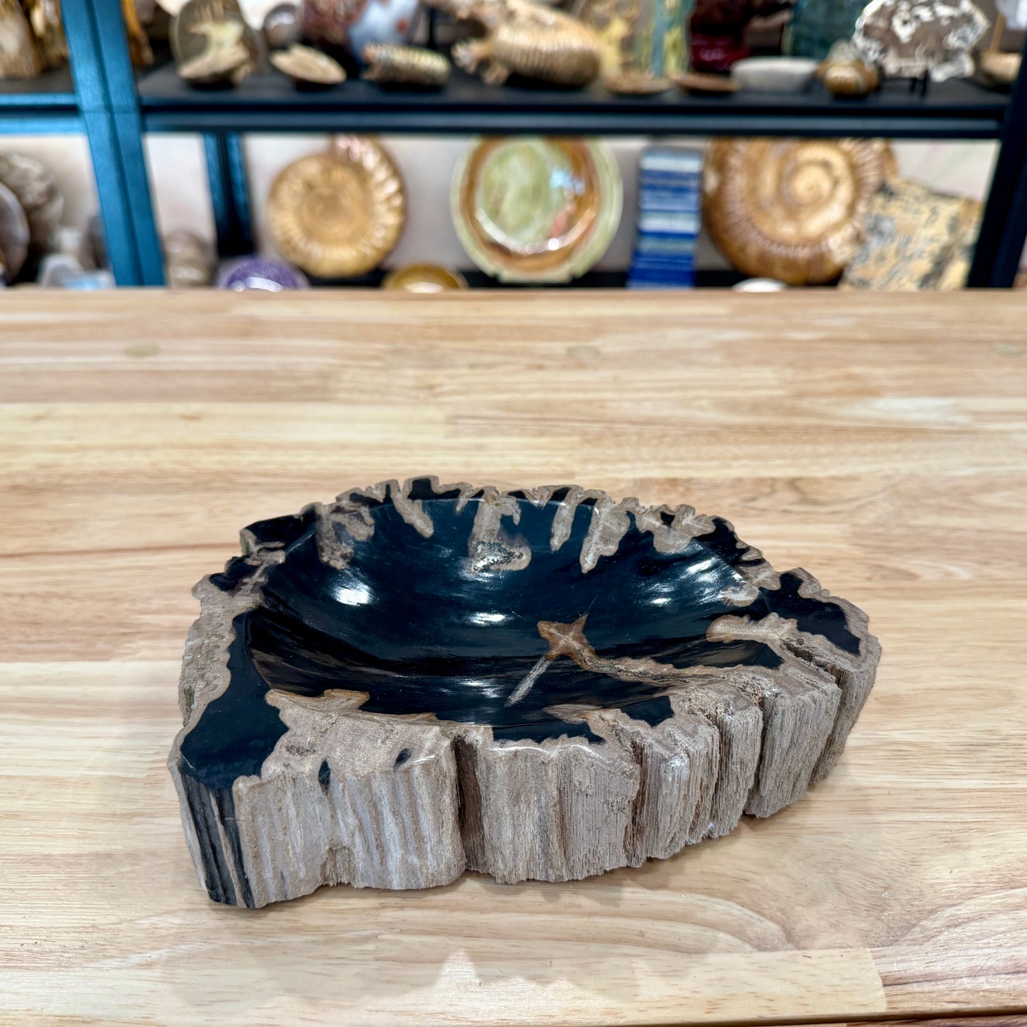 Reserve Indonesian Petrified Wood Rustic Bowl