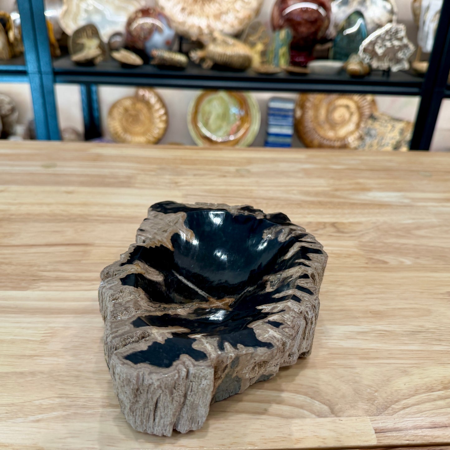 Reserve Indonesian Petrified Wood Rustic Bowl