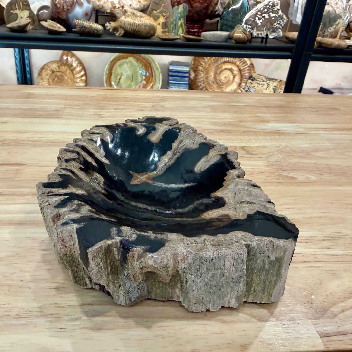 Reserve Indonesian Petrified Wood Rustic Bowl