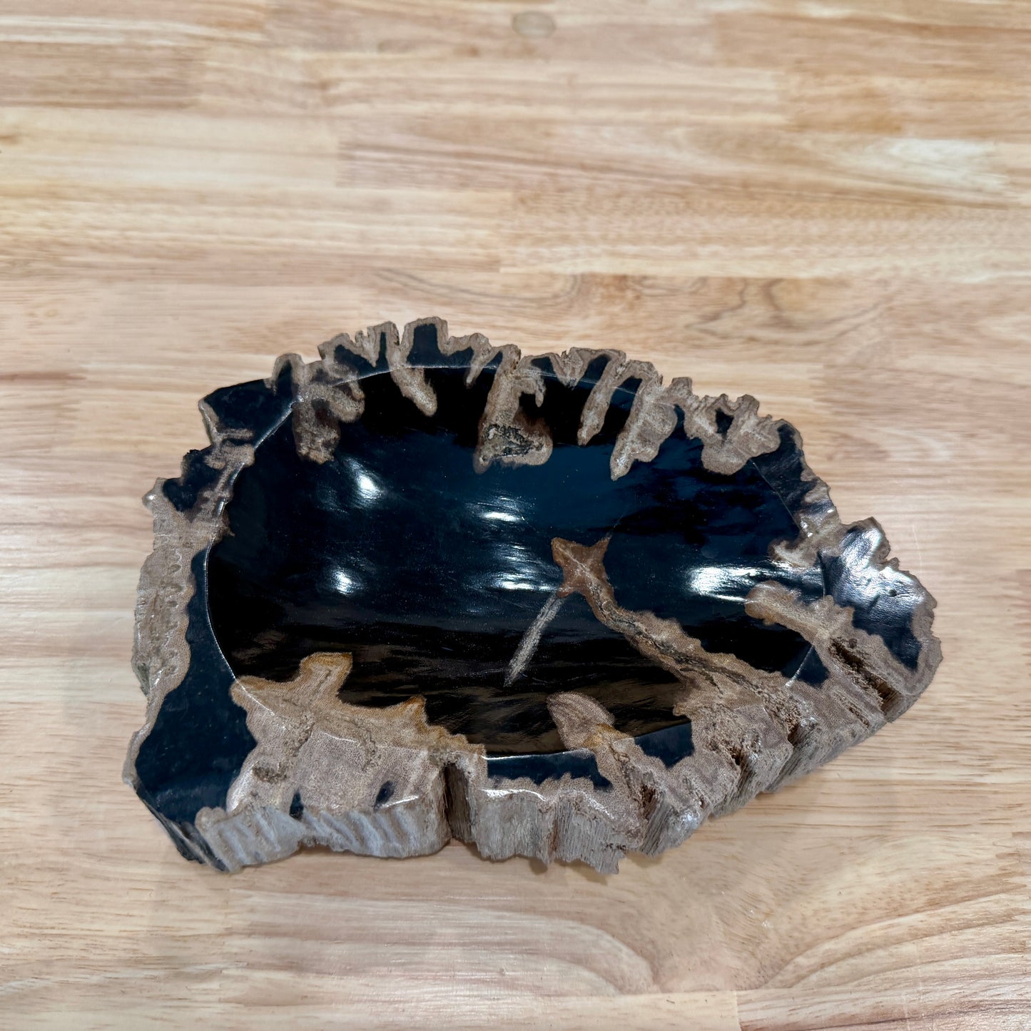 Reserve Indonesian Petrified Wood Rustic Bowl
