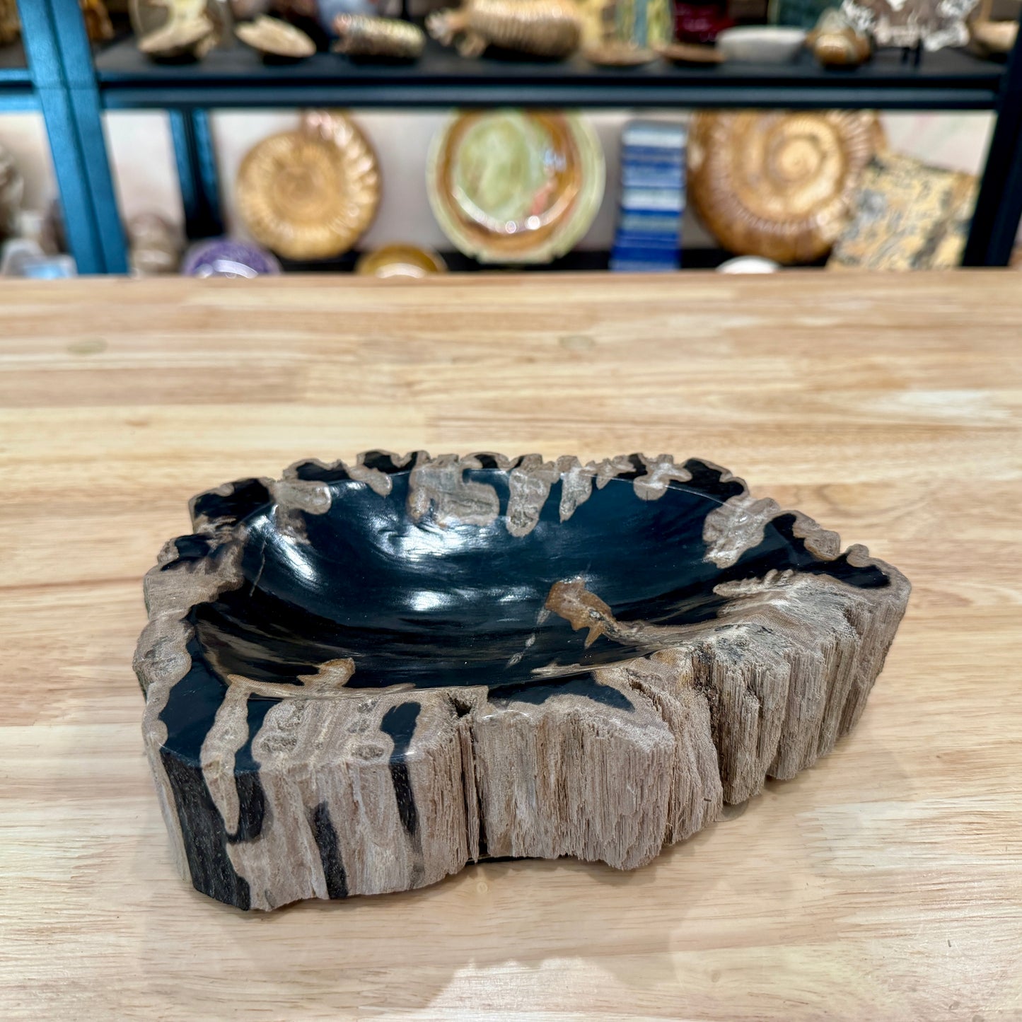Reserve Indonesian Petrified Wood Rustic Bowl