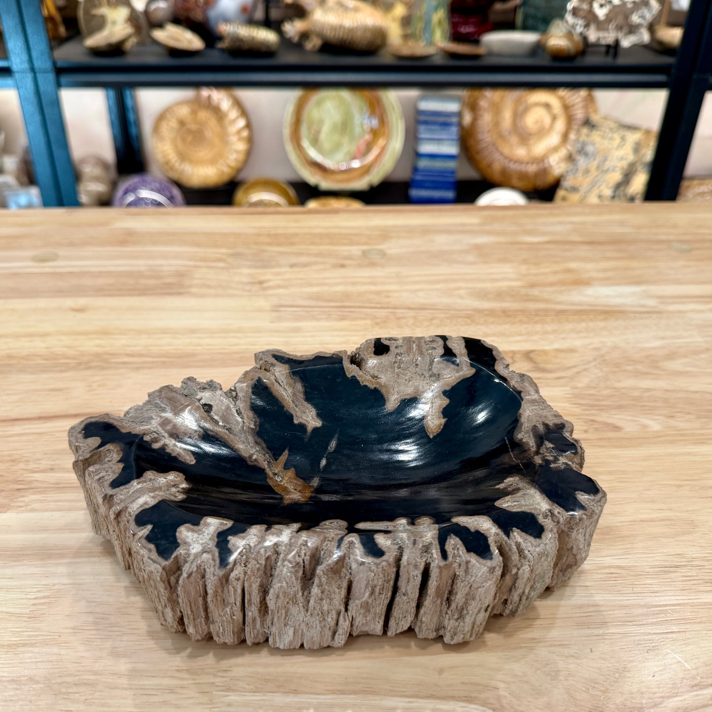 Reserve Indonesian Petrified Wood Rustic Bowl