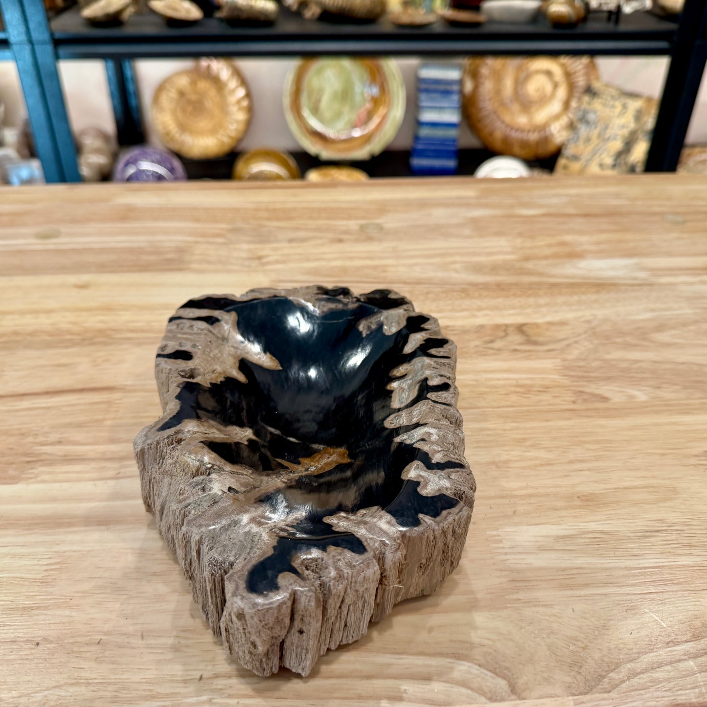 Reserve Indonesian Petrified Wood Rustic Bowl