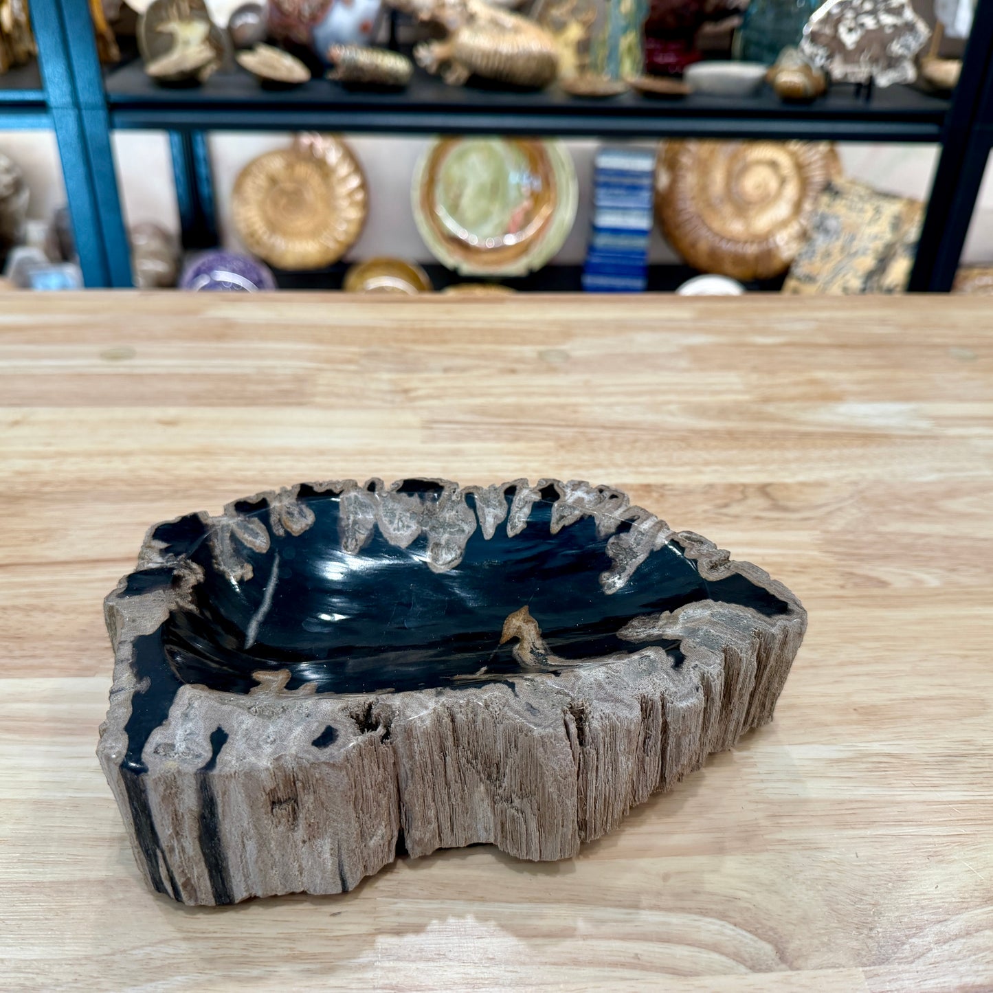 Reserve Indonesian Petrified Wood Rustic Bowl