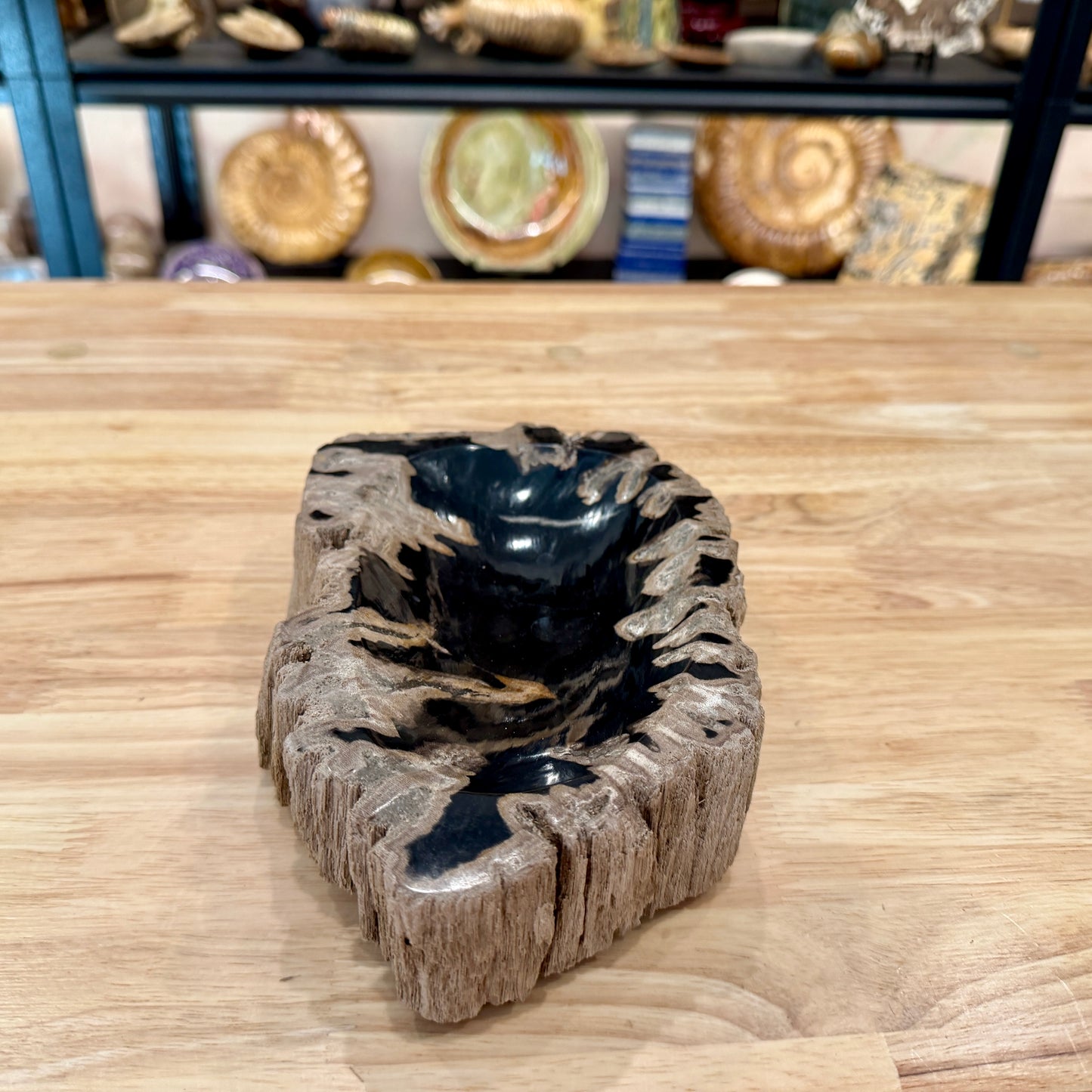 Reserve Indonesian Petrified Wood Rustic Bowl