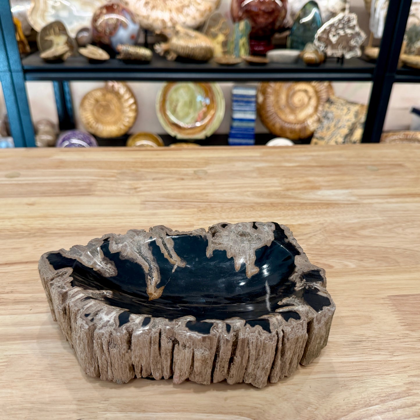 Reserve Indonesian Petrified Wood Rustic Bowl