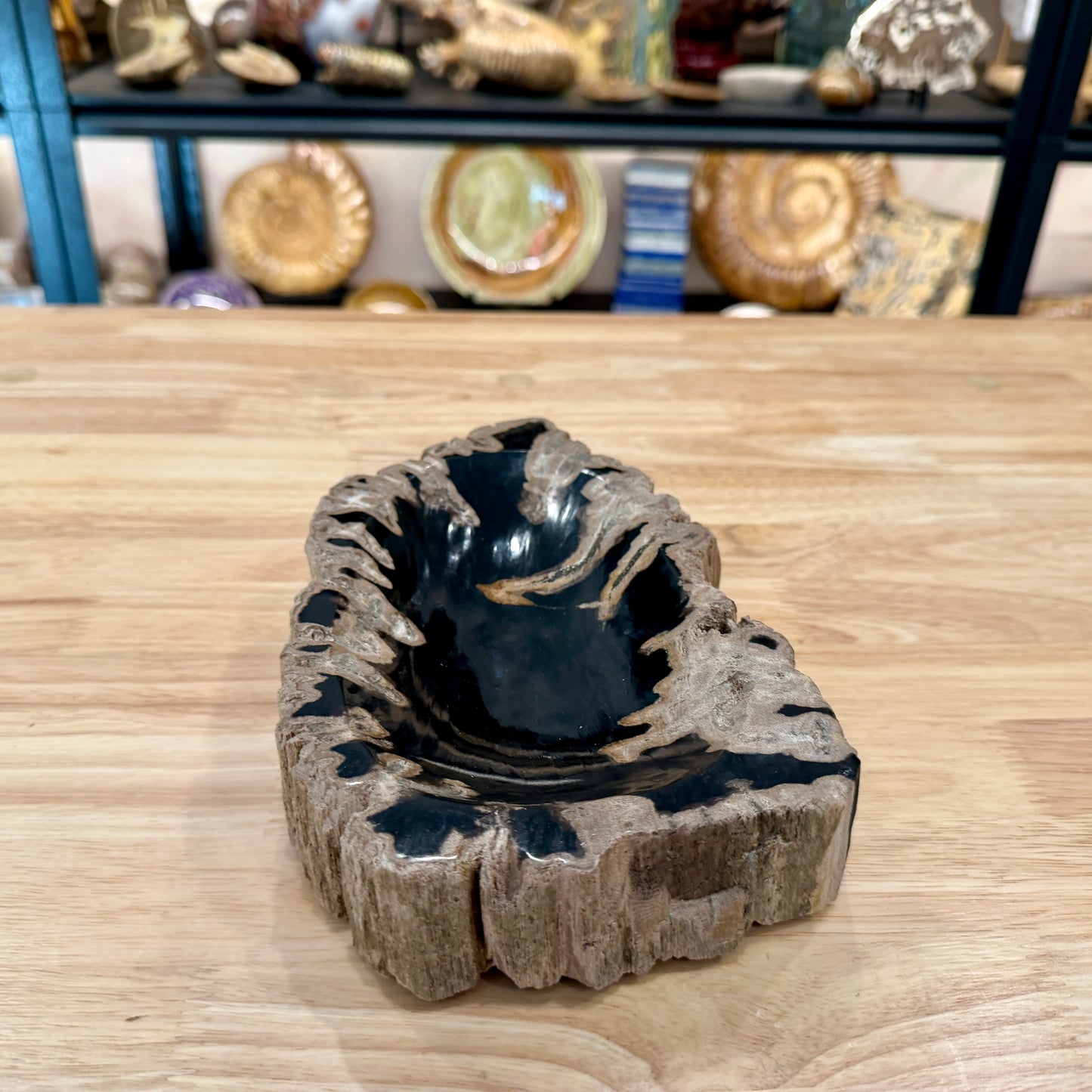 Reserve Indonesian Petrified Wood Rustic Bowl