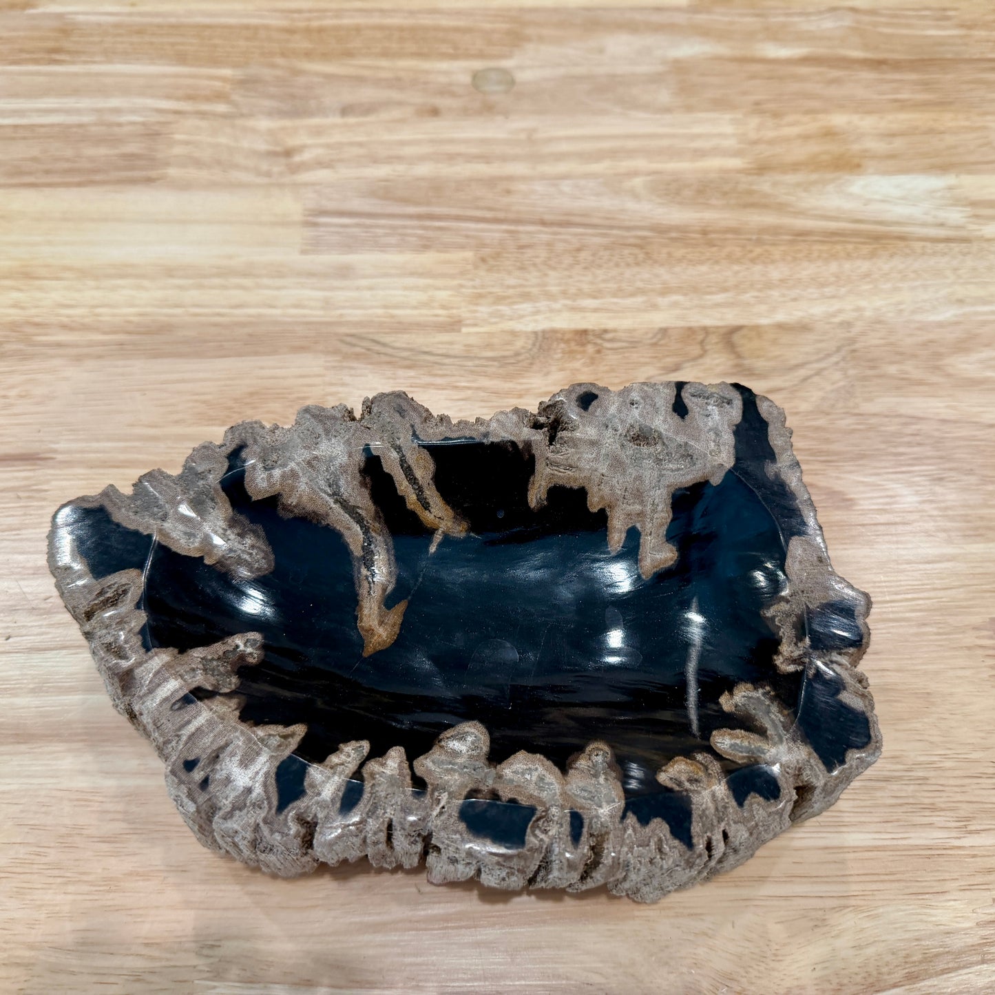Reserve Indonesian Petrified Wood Rustic Bowl