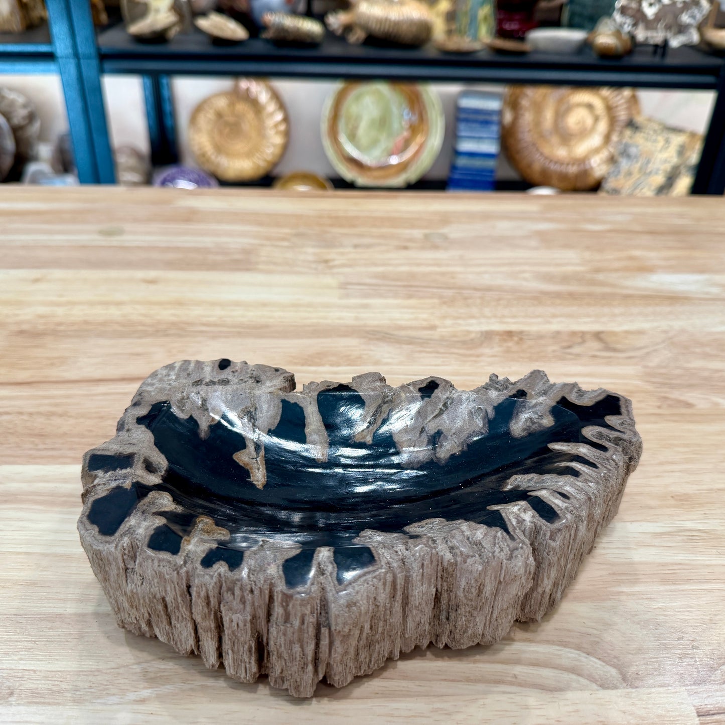 Reserve Indonesian Petrified Wood Rustic Bowl