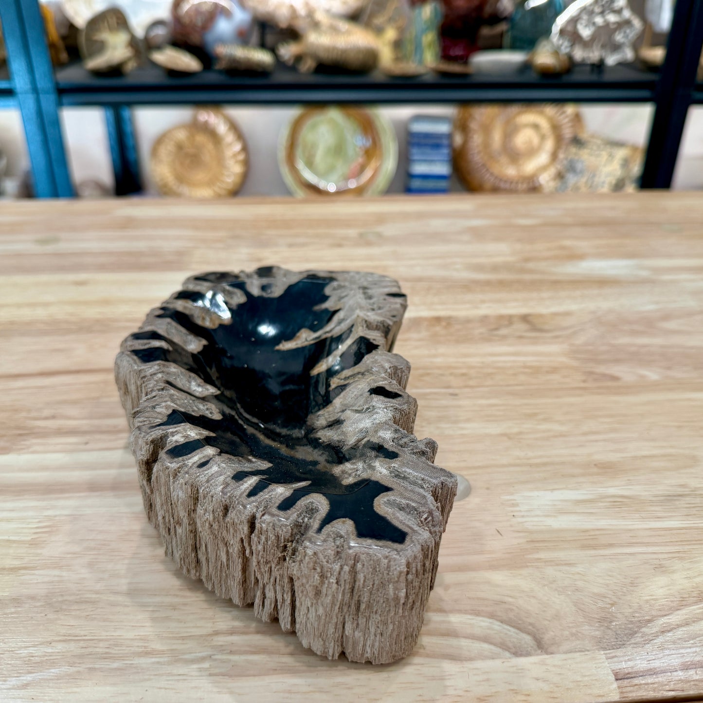 Reserve Indonesian Petrified Wood Rustic Bowl